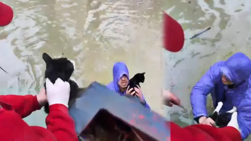 مشهد إنساني بالقصر الكبير.. شباب يُنقذون قطًّا فقد الوعي وسط مياه الفيضانات