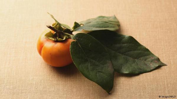 عليك بفاكهة الكاكي - حلوة المذاق وصحية