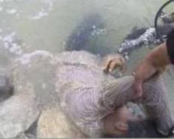 غرق فتاة في أحد الوديان نواحي أكادير