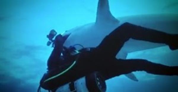 بالفيديو.. قرش عملاق يستولي على كاميرا من أحد الغواصين