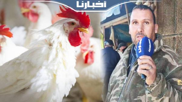 مهني يكشف لأخبارنا أسباب ارتفاع أسعار الدجاج قبيل رمضان