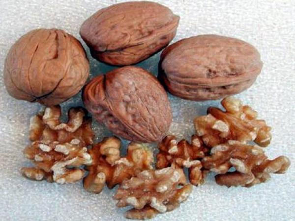 ثمرة الجوز تقلل من تصلب الشراين