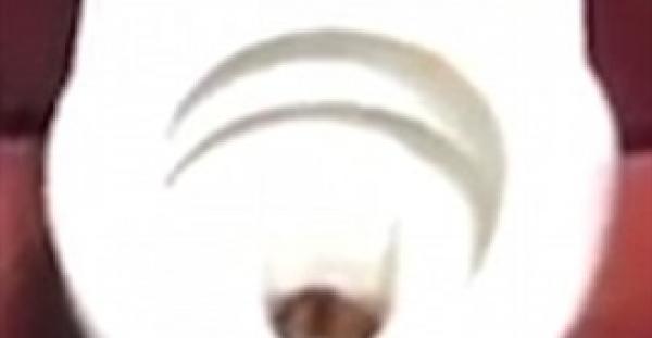 شاب يستقيل من عمله بسبب فأر (فيديو وصور)