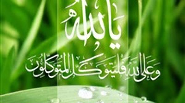 كيف يكون التوكل على الله؟ وما الفرق بين التوكل والتواكل؟