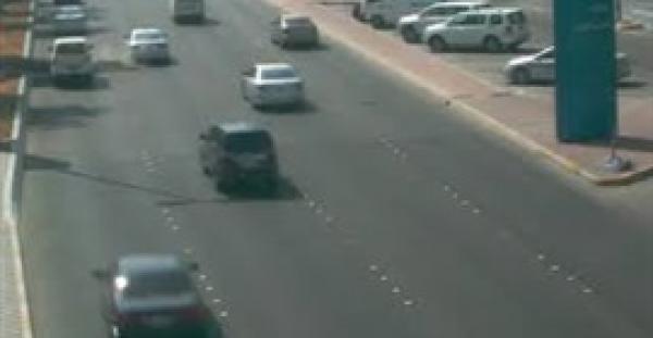 بالفيديو.. العناية الإلهية تنقذ سائقا سقطت أمامه نخلة فجأة