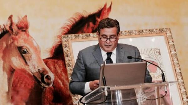 وزارة الفلاحة تكشف حقيقة منح مساعدات للخيول في زمن الجائحة