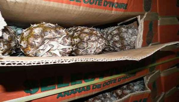 التحقيق في ملف "الأناناس الفاسد" الذي كان موجها لأسواق المملكة