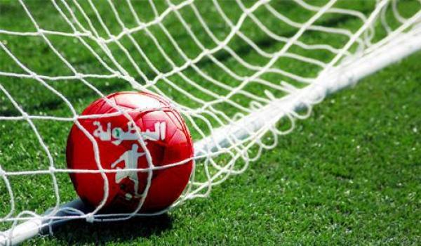 ترتيب البطولة الاحترافية (الدورة 25)