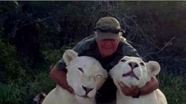 أسدان ينهشان صاحبهما حتى الموت بجنوب أفريقيا