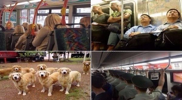 بالصور: مصادفات عجيبة لا يمكن تصديقها