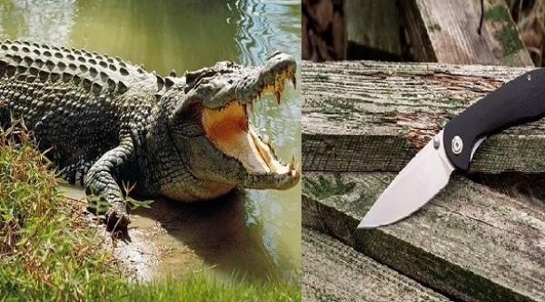 صياد أسترالي يتمكن من التخلص من تمساح مفترس بفضل سكين صغير