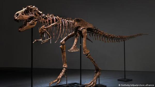 بيع هيكل عظمي لغورغوصور بمبلغ ضخم