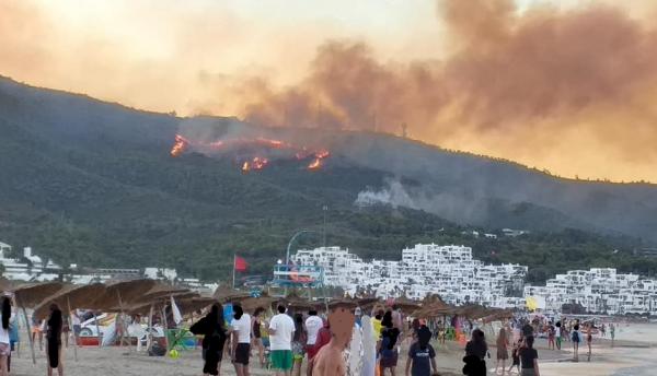 صورة تعبيرية من الارشيف