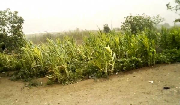 عاصفة رملية تجتاح إقليم الجديدة بالقرب من سيدي علي بنحمدوش