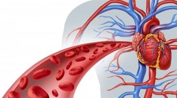 هذه هي أسباب وأعراض اضطرابات سريان الدم
