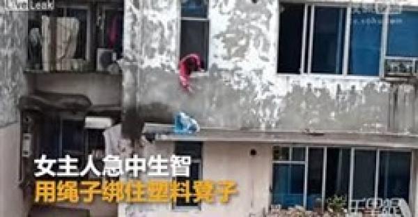 امرأة تنجح في إنقاذ «قط» بطريقة غريبة (فيديو)