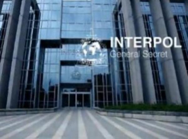 الأنتربول يتعقب أخطر 100 مغربي عبر العالم