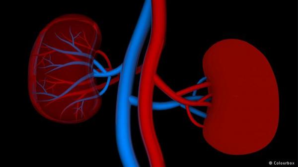 ارتفاع ضغط الدم مؤشر على أمراض الكلى