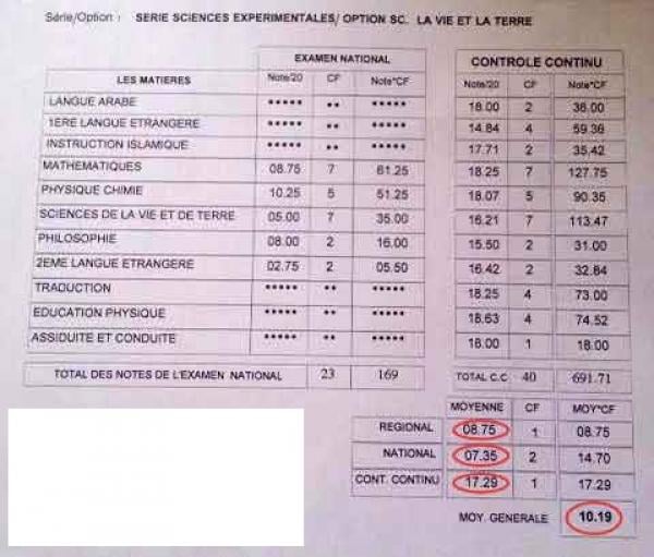 صورة من الأرشيف