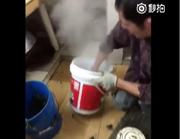 بالفيديو: هكذا يتم تحضير أطباق من الجرذان بالصين