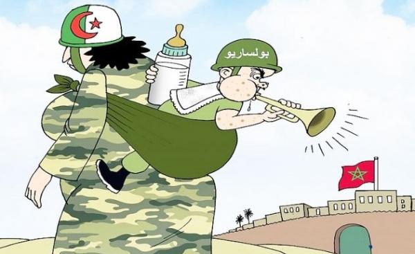 الجزائر تستفز المغرب وتنظم ملتقى دوليا لدعم البوليساريو