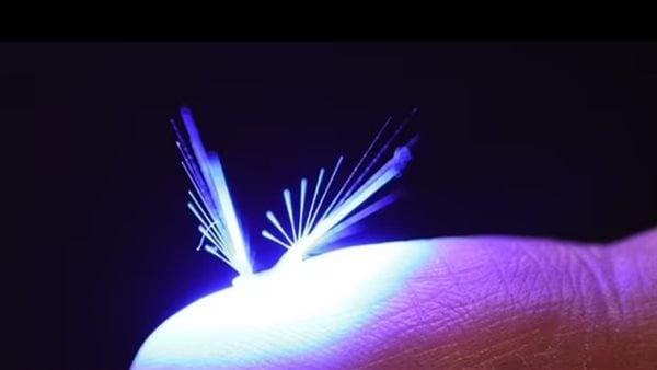 علماء يطورون روبوت يمكنه الطيران في الهواء بقوة الرياح والضوء!