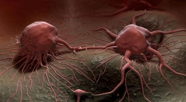 دراسة: فيروس معزز للمناعة يحمل أملاً في علاج سرطان الدماغ