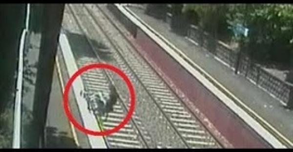 بالفيديو.. رجل يسقط بكرسيه المتحرك على شريط القطار