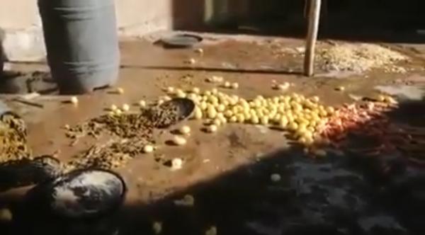 حجز مواد غذائية منتهية الصلاحية بوجدة