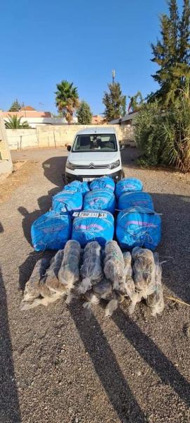 الدرك الملكي يحجز سيارة مزورة محملة بكمية كبيرة من المخدرات