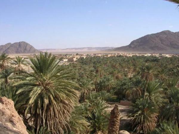 الحرس الجزائري يحتجز سبعة مغاربة على الحدود مع فجيج