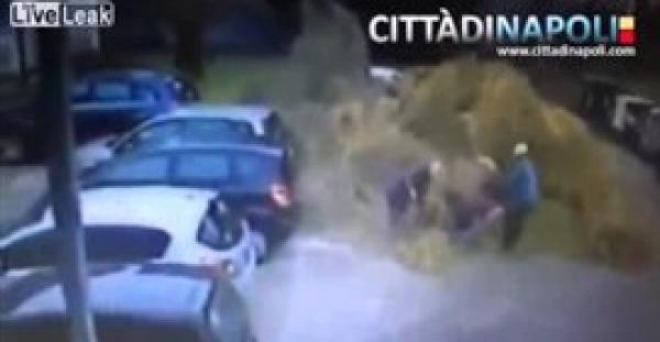 بالفيديو.. لحظة سقوط شجرة ضخمة فوق امرأة