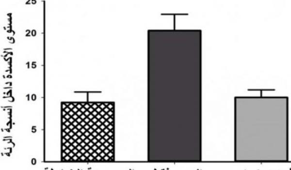 دراسة: فيتامين "هـ" يحمي الجهاز التنفسي من نقص الأكسجين