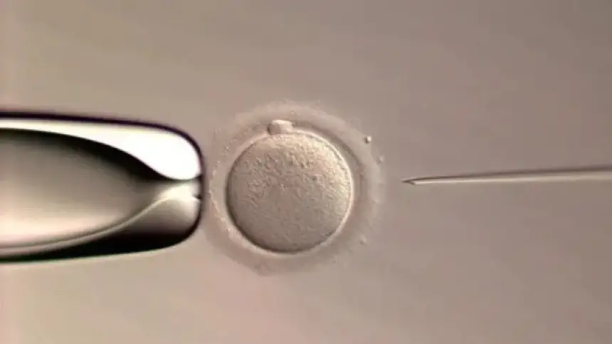 ثورة في الطب: ولادة أول طفل بعملية تخصيب كاملة من تنفيذ ذكاء اصطناعي