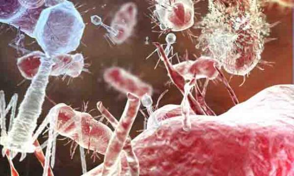 دراسة صادمة: غبار المنزل يحوي 9 آلاف نوع من الجراثيم