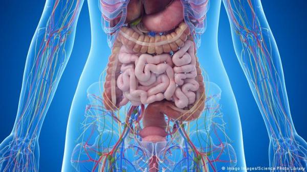 أعراض تشير إلى إصابتك بأمراض في الأمعاء.. فما الحل؟