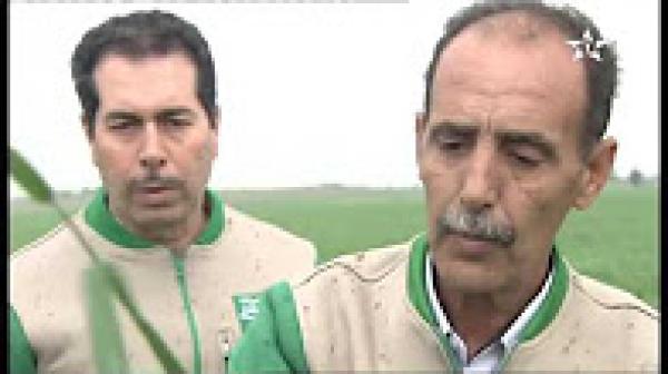 مخطط المغرب الأخضر