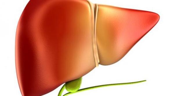 إليك أهم أعراض مشاكل المرارة و كيفية الوقاية