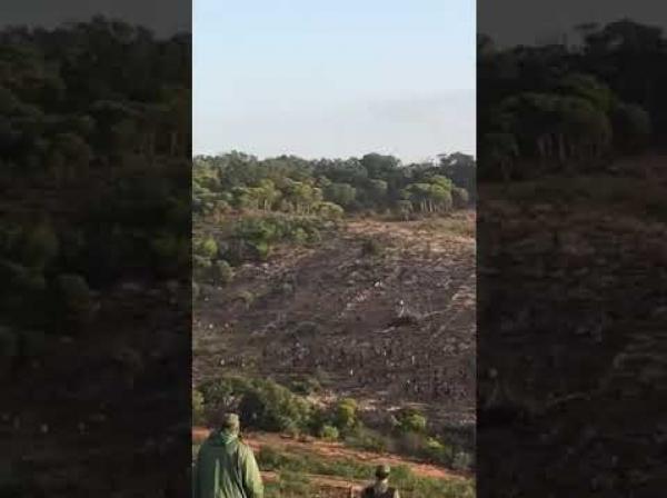 مشهد مهيب للمهاجرين الافارقة بغابات المغرب الشمالية