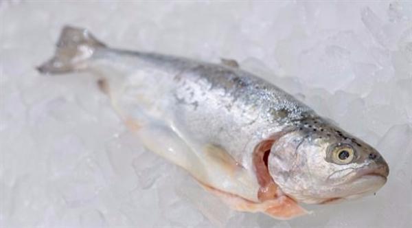 لا تخزّن الأسماك في الثلاجة قبل القيام بهذه الحيلة البسيطة
