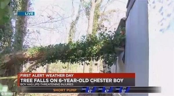 وفاة طفل في السادسة سقطت شجرة على منزله وهو نائم