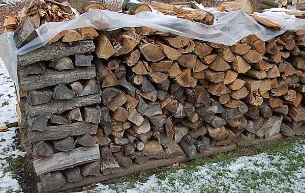 حمامات وأفران المغرب تستهلك أزيد من مليون طن من الحطب سنويا