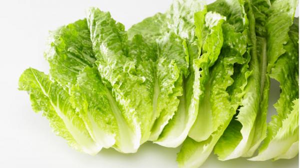 "الخس" .. صيدلية طبيعية فى كل بيت