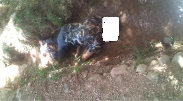 الأمن يعثر على جثة عشريني نهشتها الكلاب بتنغير