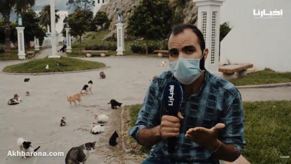 جمعية تدق ناقوس الخطر بخصوص الوضع في مطرح القطط "العوينة" بتطوان