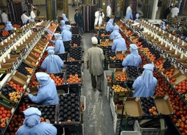 فلاّحون أوروبيون يحذرون من التنافسية المغربية