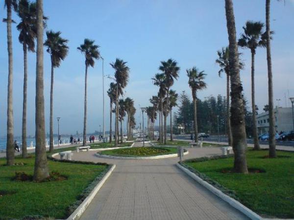 مواصلة أشغال بناء وتهيئة مشروع إحداث مركب وفضاء كبير للمعارض بإقليم الجديدة