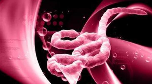 من أين أتت تسمية فيروس "ايبولا"؟