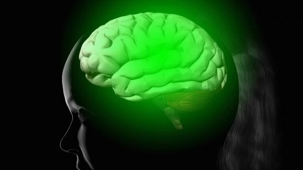 اليكم أفضل مكمل غذائي لصحة الدماغ