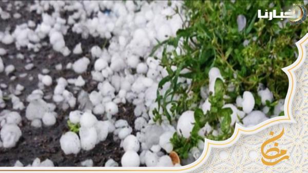 في مشهد نادر.. حبات "التيبروري" تغرق جماعة آيت حسان ضواحي أوطاط الحاج